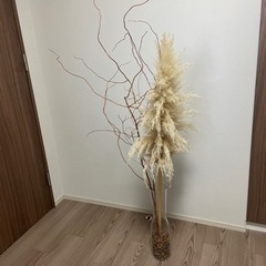 【ザ　ガーデン】観葉植物