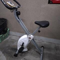 ALINCO FITNESS PRO AF4600