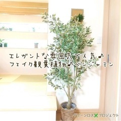 【ネット決済】【フェイク/大型観葉植物】エレガントな雰囲気で人気...