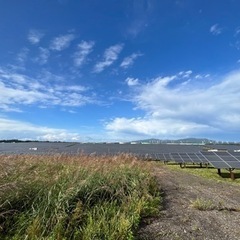 除草作業ならお任せください🫡素早く綺麗にこなします！