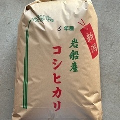 新米　岩船産コシヒカリ30kg 