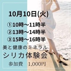 【10/10(火)】美と健康のミネラル「シリカ(ケイ素)」体験会