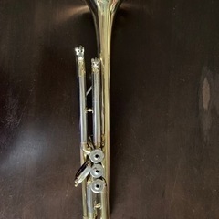 トランペット　REYNOLDS USA