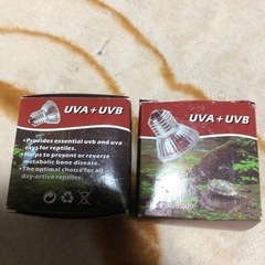 UVB UVA ライト　爬虫類