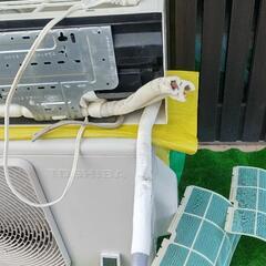 14畳用東芝エアコンポンプダウン済
