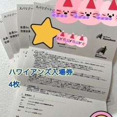 【ネット決済・配送可】ハワイアンズのチケット4名様分