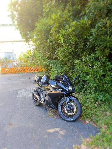 気まぐれ限定価格 SUZUKI GSX250R BLACK カスタム 絶好調+自賠責長 動画あり