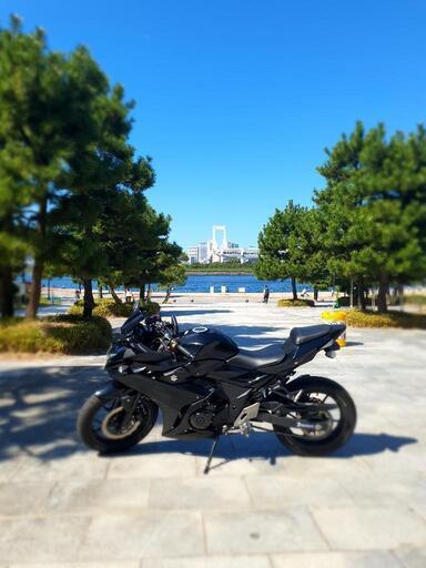 気まぐれ限定価格 SUZUKI GSX250R BLACK カスタム 絶好調+自賠責長