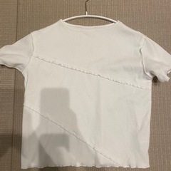 フリーサイズ　Tシャツ　トップス