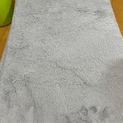 《値下げ》ニトリ　埃が取れやすい洗えるカーペット