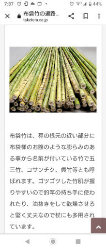 充実の品 ▷布袋竹◁【これで、芸術家！起業家！古民家改造！】竹を取り その他