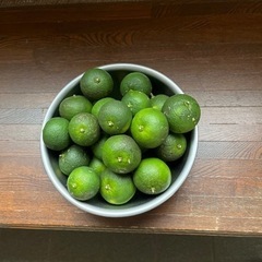 オーガニックすだち5kg（値下げOK）