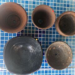 ちいさな陶器鉢　５種