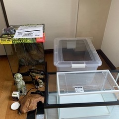 爬虫類飼育セット