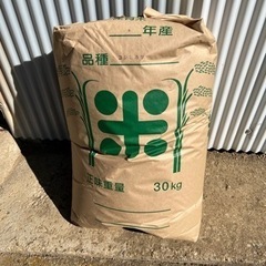 ⭐️新米⭐️ 令和5年　福島市産　コシヒカリ30kg玄米　①