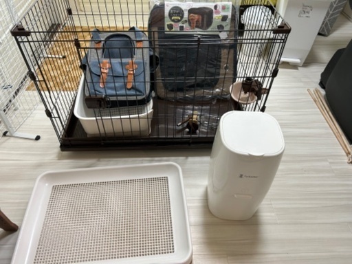 決まりました。わんちゃんセット