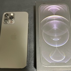 【ネット決済・配送可】iPhone12 Pro Max 256G...