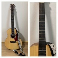 Taylor GS mini-e 10/16(月)まで
