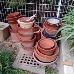 陶器やプラスチックの植木鉢やプランター