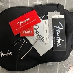 Fender Mexico Player Stratocaster FR HSS