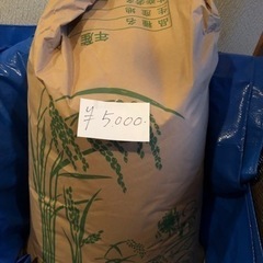 お米　玄米　30kg コシヒカリ