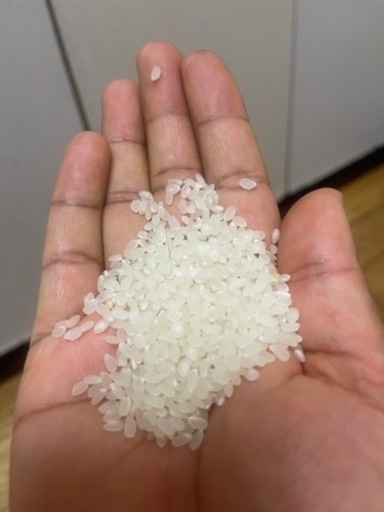 精米