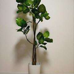 【フェイクグリーン】人工観葉植物 高さ160cm
