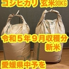 【新米】久万高原産 コシヒカリ　玄米30kg 配達無料
