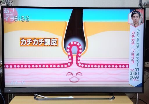 【値下げしました】50V型4K液晶テレビ 東芝REGZA「50M510X」 2018年製