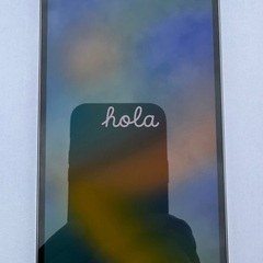 【美品】iPhone 13 Pro Max 256GB グラファイト（黒） SIMフリー