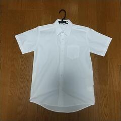 160cm 白Yシャツ(ノーアイロン！)