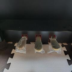 電子ピアノ　YAMAHA　2021年製