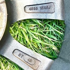 【取引中】《値下げ》新品スタッドレス15インチ 中古ホイール付 195/65R15