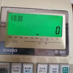 　商談済み　CASIO　TE-300