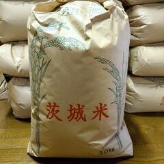【新米】令和５年産　コシヒカリ　玄米30kg