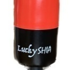 自立式サンドバッグ　luckyshia