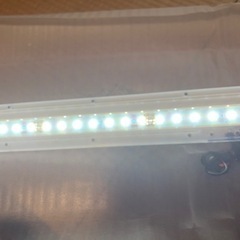 GEX 60cm 水槽 LEDライト