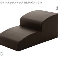 ドックステップ　美品