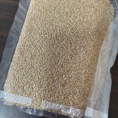 【無料・貰ってください】有機玄米  1kg程度