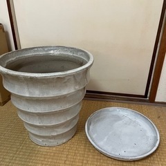 陶器 鉢植え 受け皿