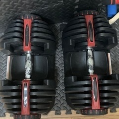 可変式ダンベル40キロ✖︎2、インクラインベンチ