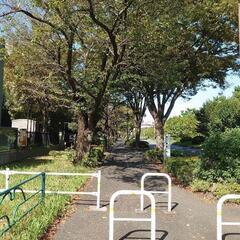 昭和記念公園付近で一緒にジョギングしませんか？