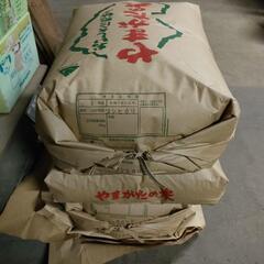 ４年産コシヒカリ玄米　３袋あります
