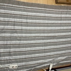 コイズミ　電気掛敷毛布2枚セット(寸法188×130)