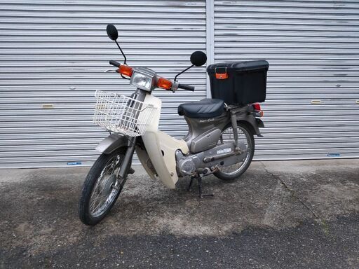 角目カブ　50