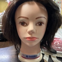 デザイン巻きウィッグ　お値段しました。