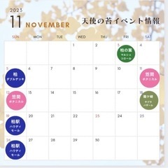 11月出店情報