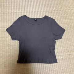 《美品》UNIQLO半袖カットソー　　丈短め　S