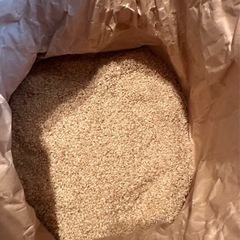 備蓄米（コシヒカリ玄米）