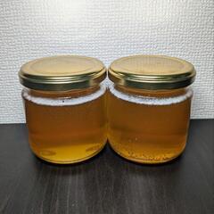 【9月採蜜】日本蜜蜂 天然はちみつ 500g(250g×2)